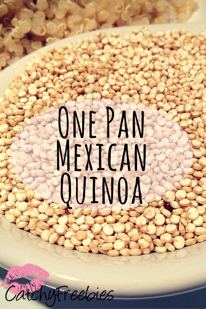 one pan mexican quinoa pint