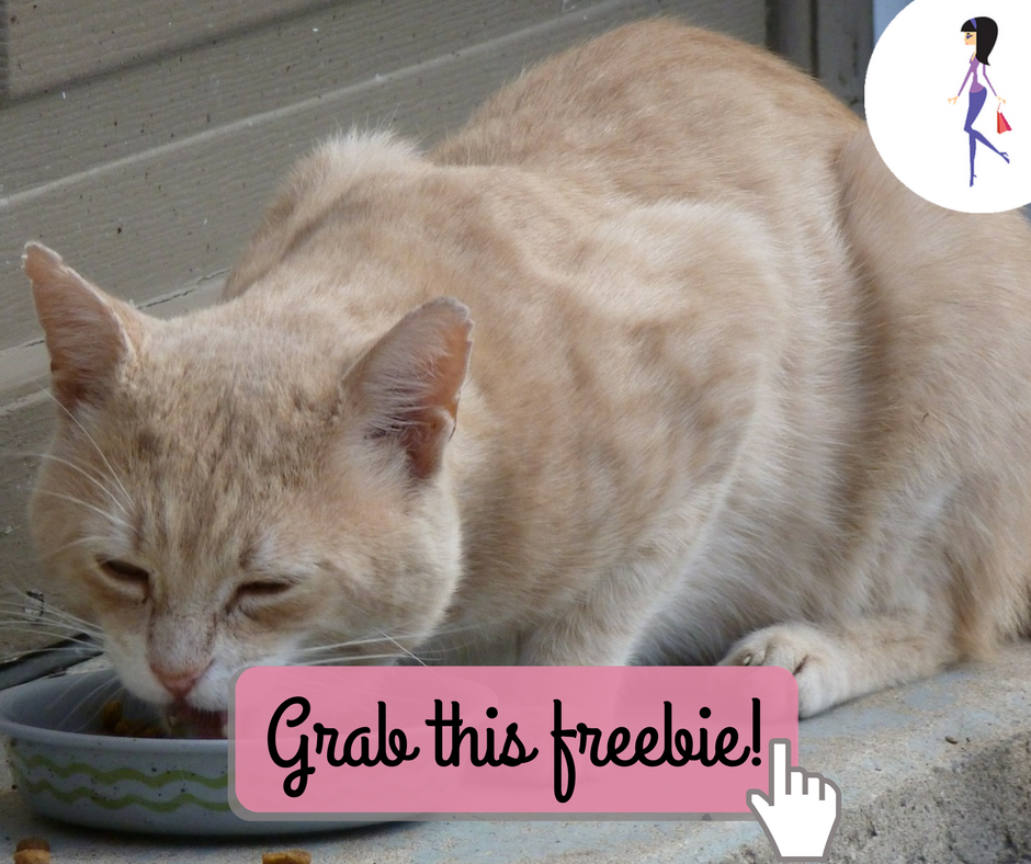 free-halo-cat-food-catchyfreebies