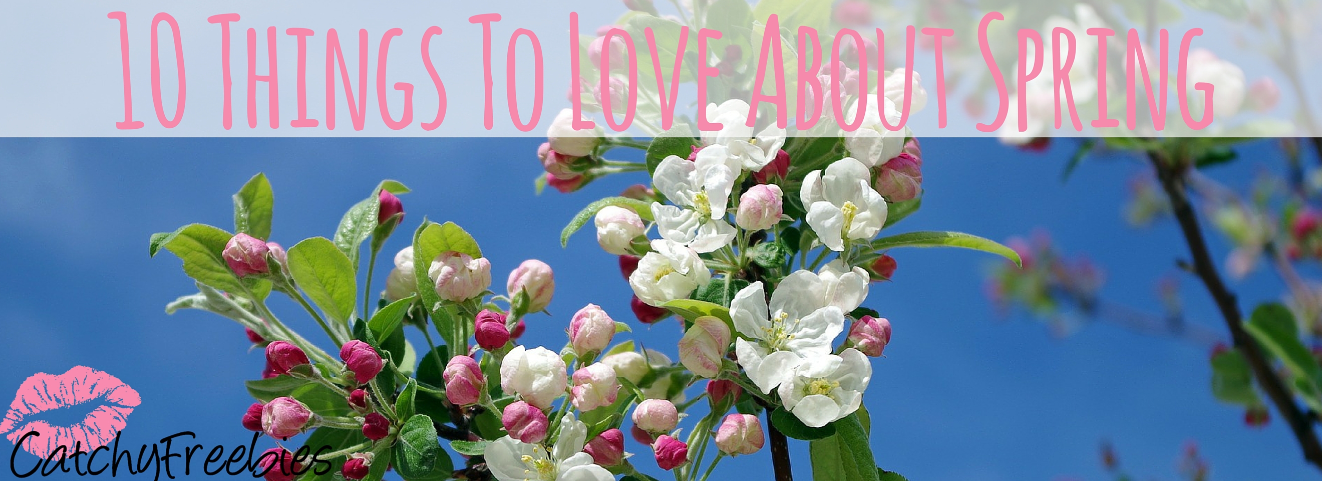 10 Things To Love About Spring