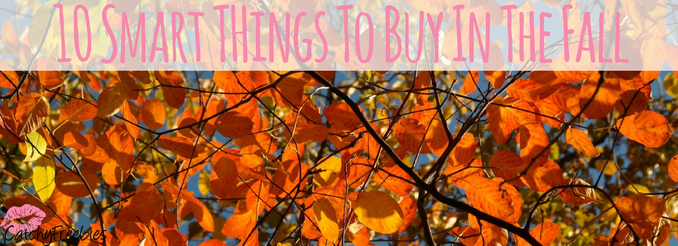 10 Smart Things To Buy In The Fall