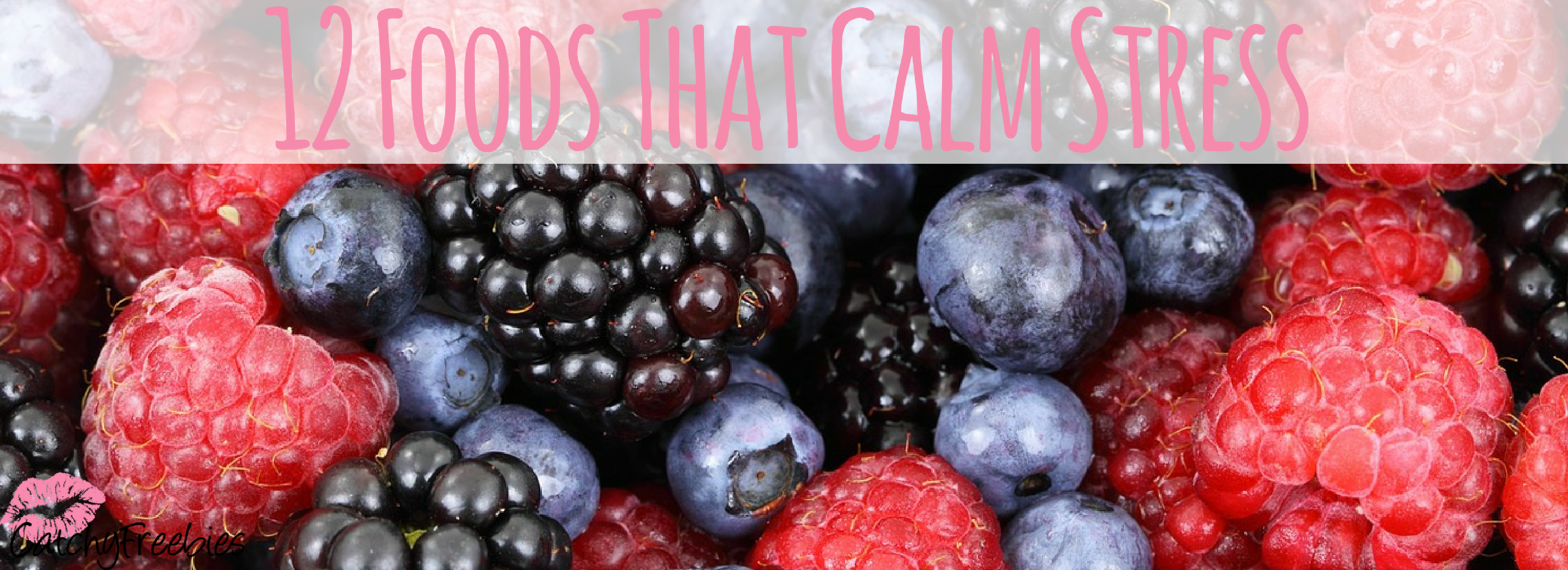 12 Foods That Calm Stress